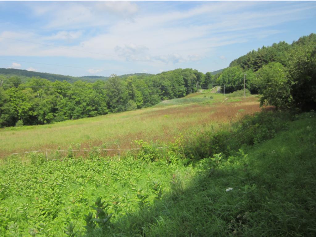 232 Hook Road Chelsea, VT 05038 - Photo 25 of 25