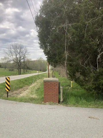 a view of a park with large trees