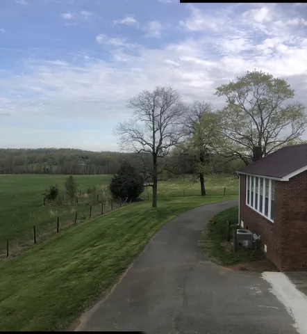 a view of a field with a tree in it