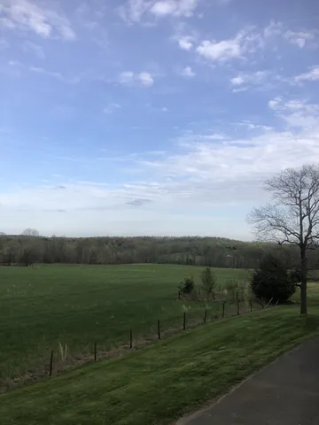 a view of outdoor space with green field and trees