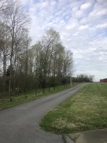 a view of a field with trees in the background
