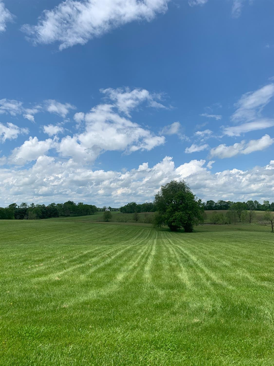2602 Bethlehem Road Paris, KY 40361 - Photo 10 of 37 Photo 10