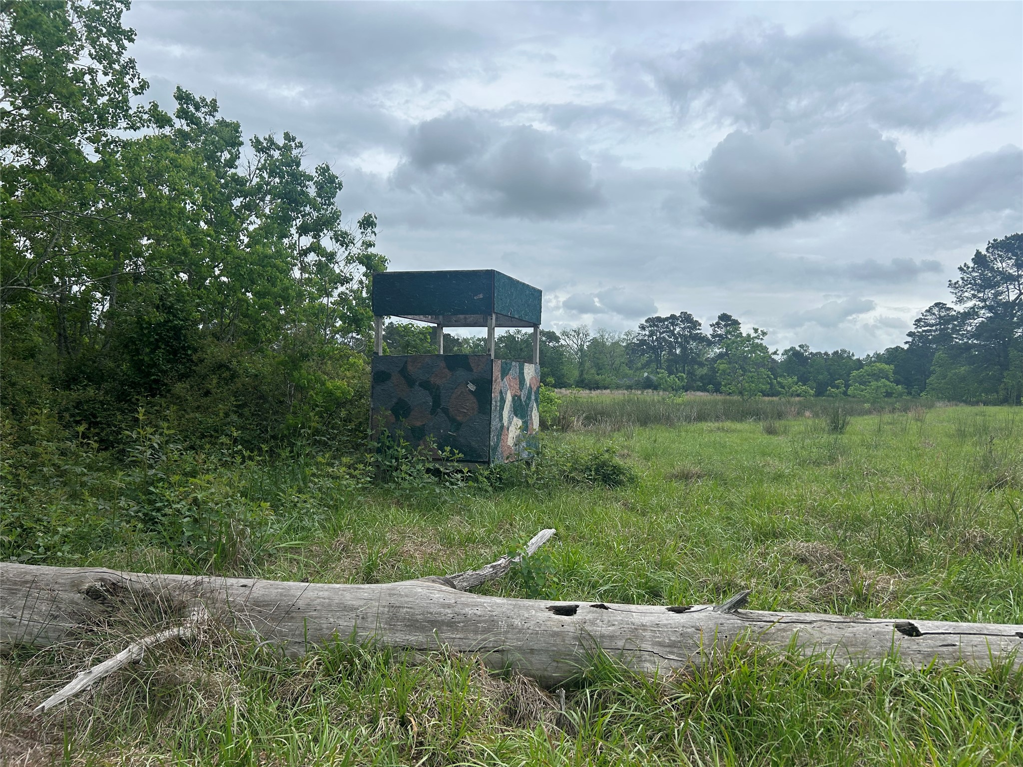 Lot 1 Minnie West Road Hull, TX 77564 - Photo 14 of 16 a view of a garden with large trees