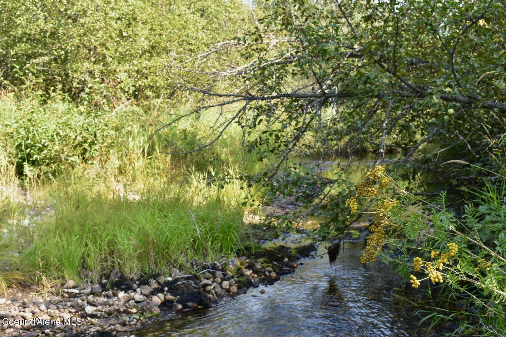 294 Fall Creek Road Naples, ID 83847 - Photo 22 of 25 DSC_0211