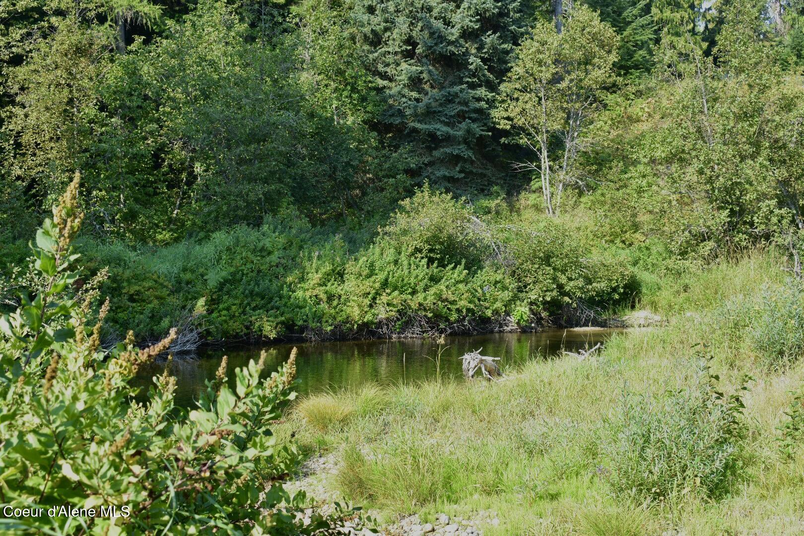 294 Fall Creek Road Naples, ID 83847 - Photo 23 of 25 DSC_0210