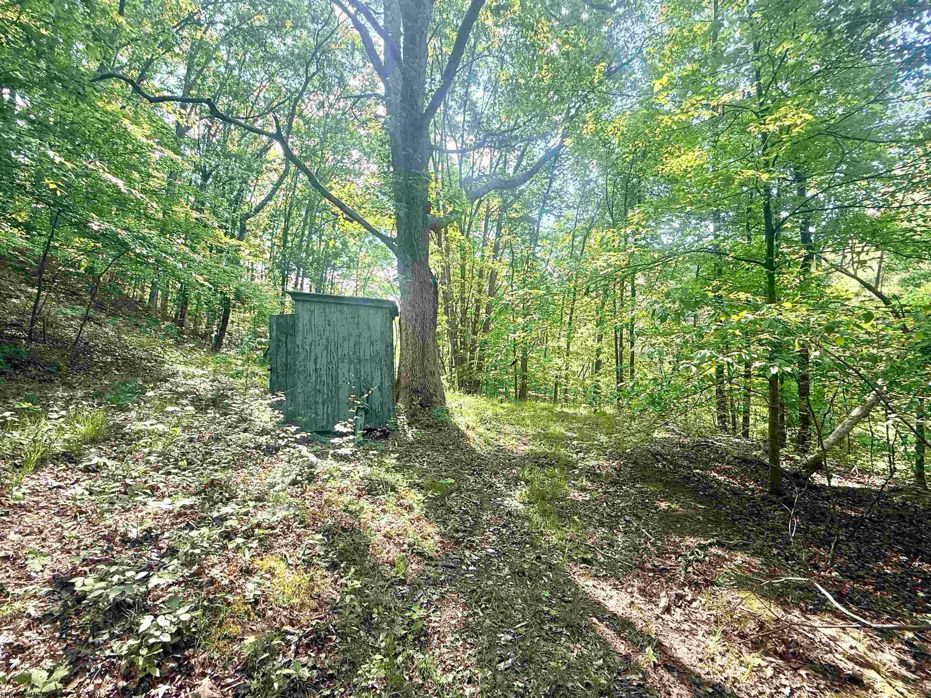 Tbd Big Pigeon Road Procious, WV 25164 - Photo 49 of 49 Gallery Image 49