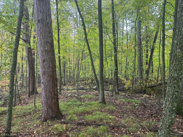 $75,000 | Tbd 217th Avenue, McGregor, MN 55760