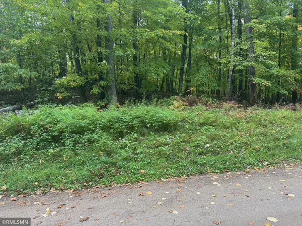 $75,000 | Tbd 217th Avenue, McGregor, MN 55760