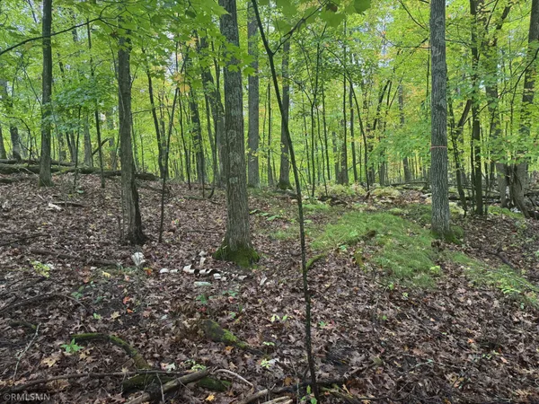 $75,000 | Tbd 217th Avenue, McGregor, MN 55760