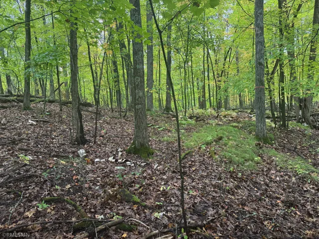 $75,000 | Tbd 217th Avenue, McGregor, MN 55760