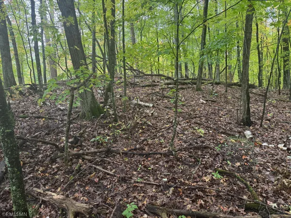 $75,000 | Tbd 217th Avenue, McGregor, MN 55760