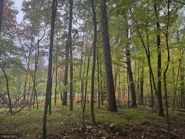 $75,000 | Tbd 217th Avenue, McGregor, MN 55760