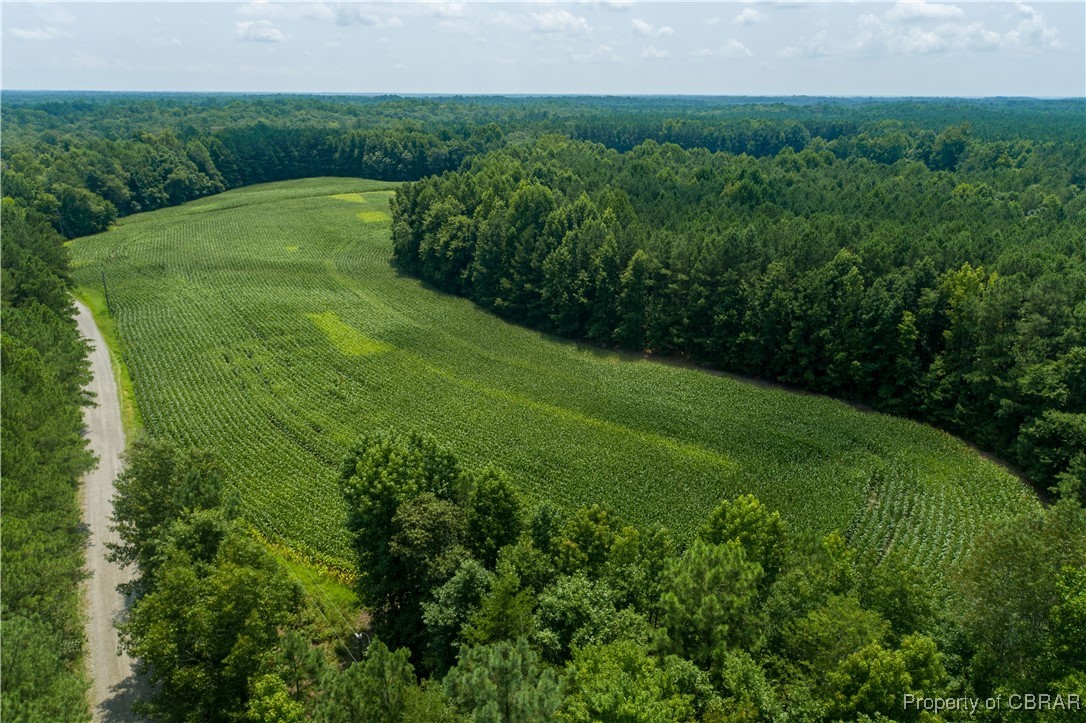 0 County Line Road Saluda, VA 23149 - Photo 16 of 36 Gallery Image 16