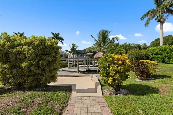 a view of a yard with plants