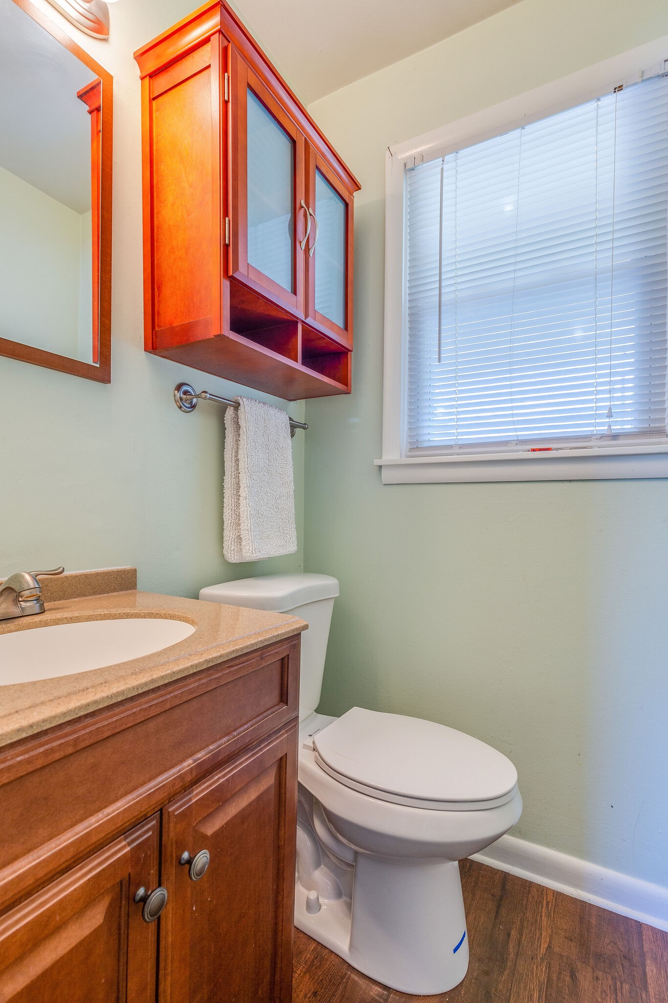 480 Rural Hill Road Nashville, TN 37217 - Photo 19 of 25 a bathroom with a toilet a sink and a mirror