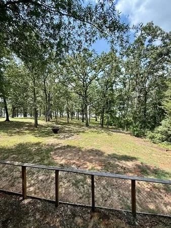 a view of park with large tree