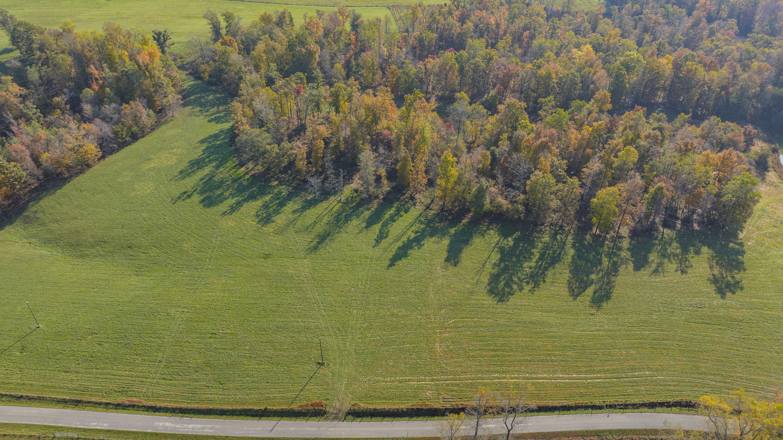 2595 Twyfords Point Road Monticello, KY 42633 - Photo 1 of 19 2595 Twyfords Point-4