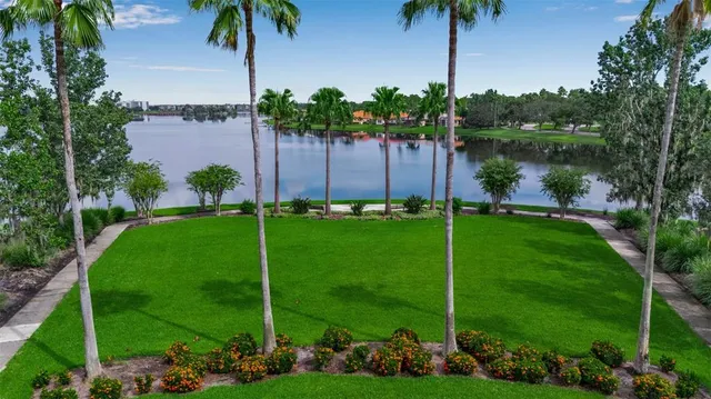 a view of garden with plants