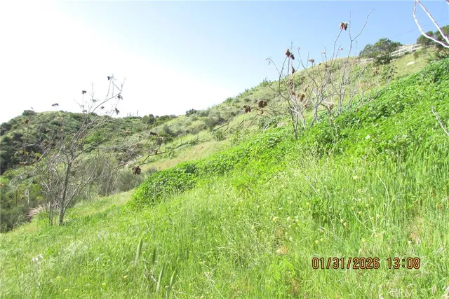 a view of a green field with lots of bushes