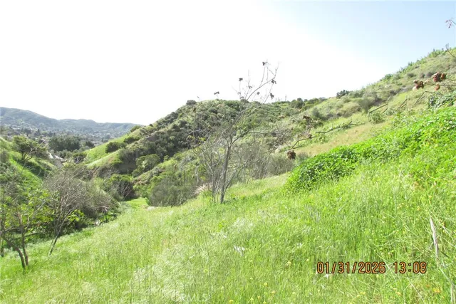 a view of a lush green space with sea