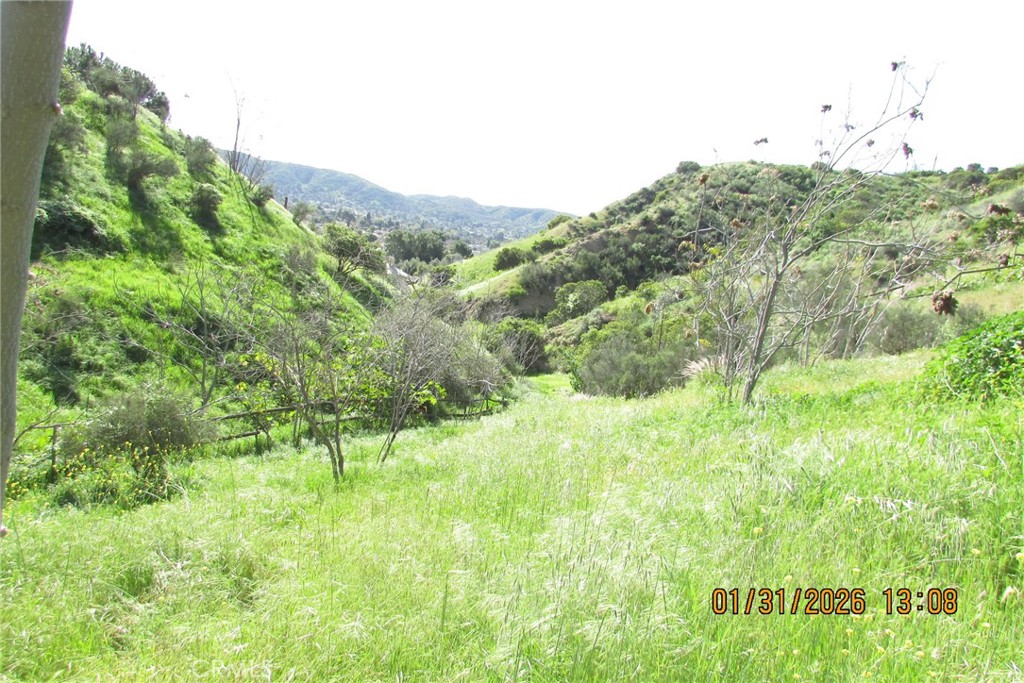 8001 Denivelle Road Sunland, CA 91040 - Photo 15 of 51 a view of a lush green space with sea
