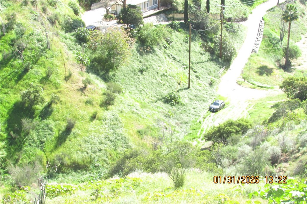 8001 Denivelle Road Sunland, CA 91040 - Photo 18 of 51 a view of a yard