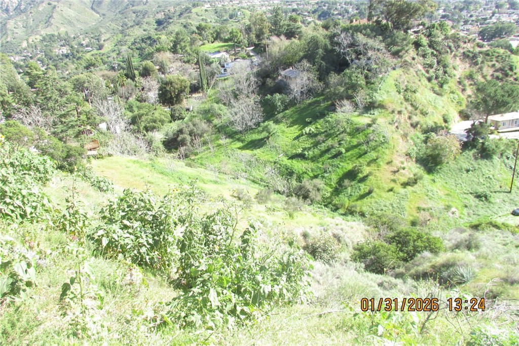 8001 Denivelle Road Sunland, CA 91040 - Photo 24 of 51 a view of a big yard with plants and large trees