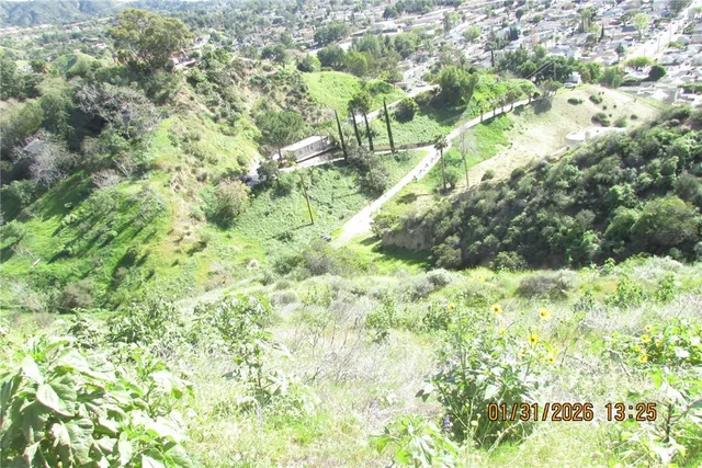 a view of a field of grass and trees