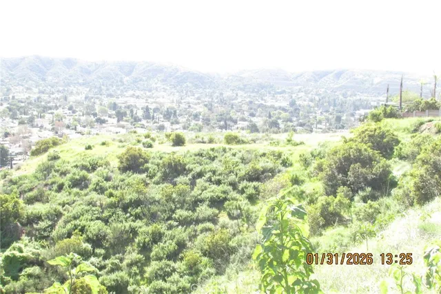 a view of a city from a yard