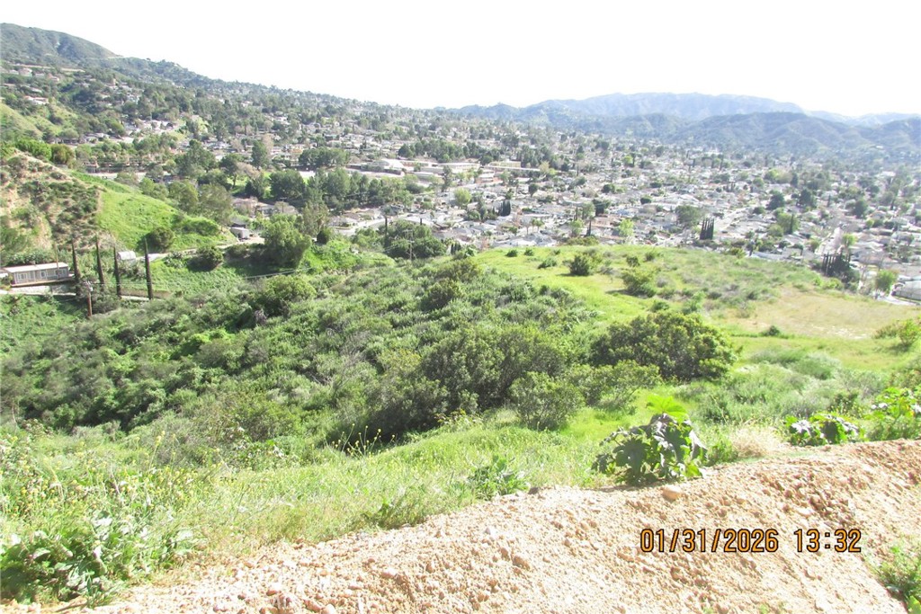 8001 Denivelle Road Sunland, CA 91040 - Photo 29 of 51 a view of a city from a yard