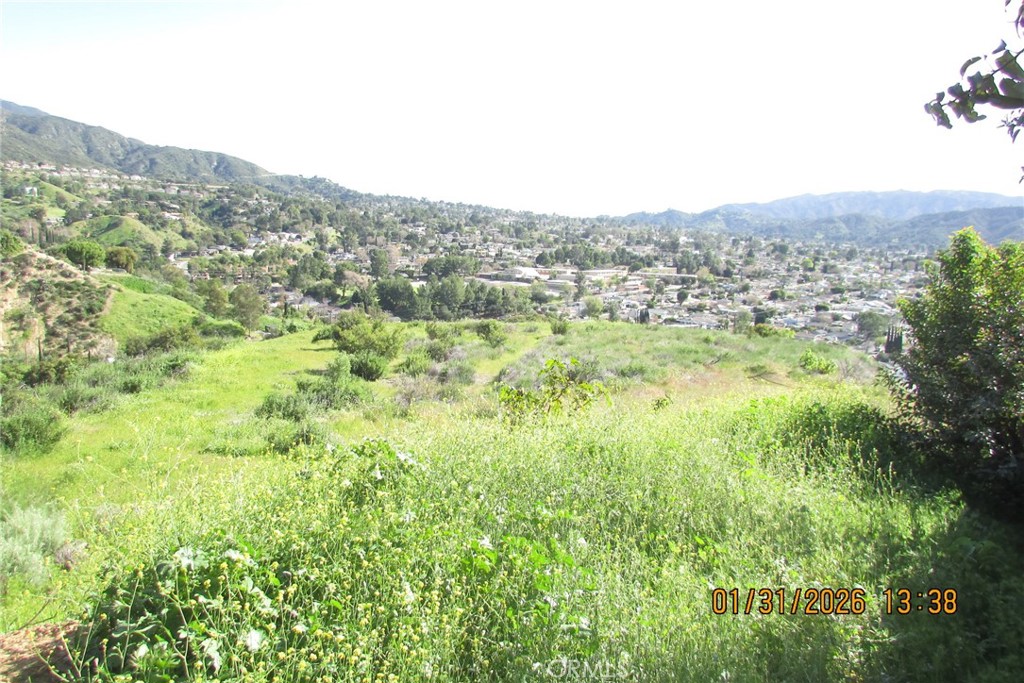 8001 Denivelle Road Sunland, CA 91040 - Photo 30 of 51 a view of a city