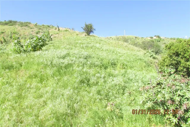 a view of a green field