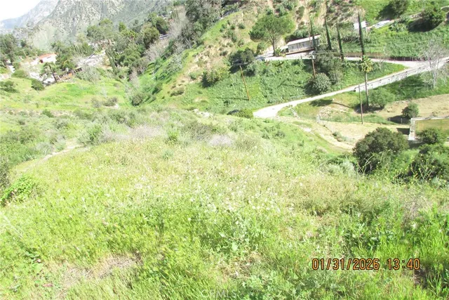 a view of a big yard with lots of green space