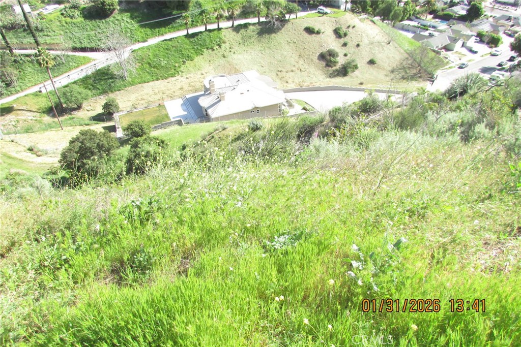 8001 Denivelle Road Sunland, CA 91040 - Photo 34 of 51 a close up of a lush green field