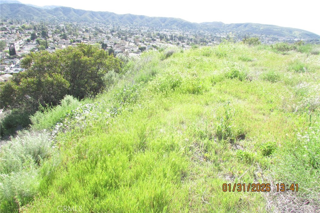 8001 Denivelle Road Sunland, CA 91040 - Photo 35 of 51 a view of a lush green field with a mountain in the background