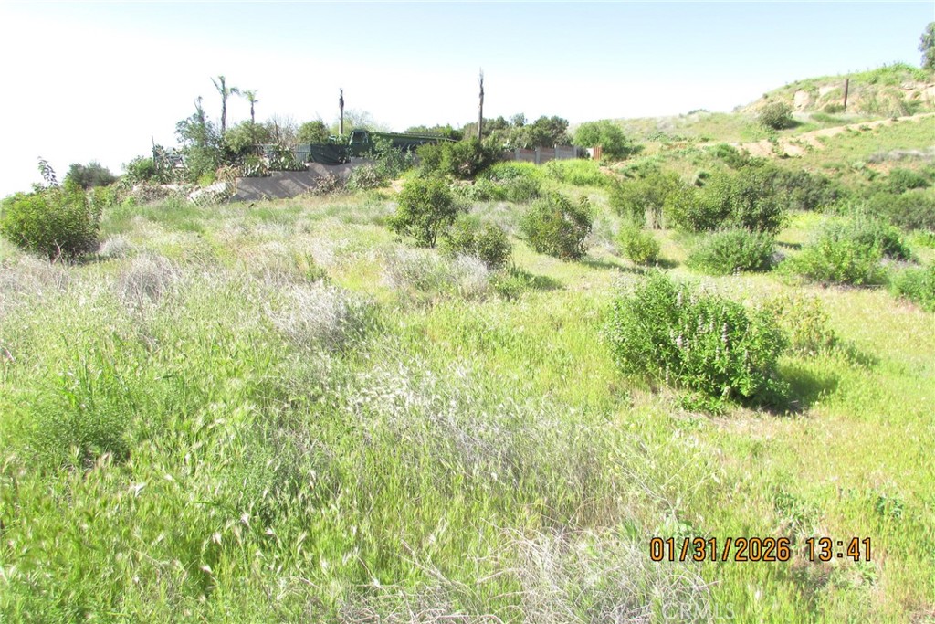 8001 Denivelle Road Sunland, CA 91040 - Photo 36 of 51 a view of a big yard with lots of green space