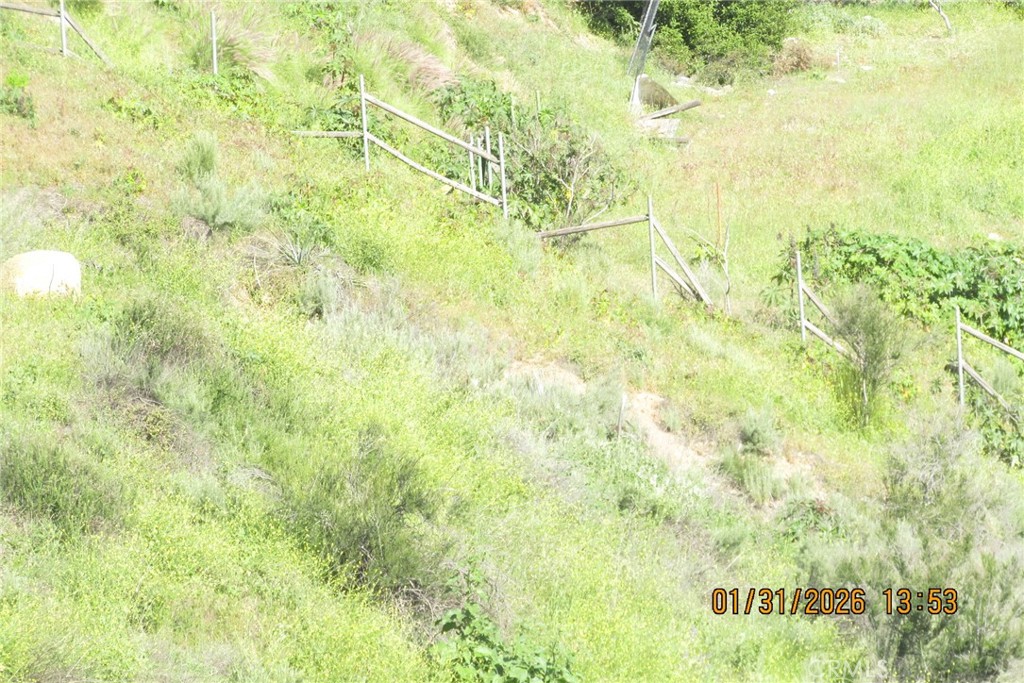 8001 Denivelle Road Sunland, CA 91040 - Photo 38 of 51 a close up of a wall with a dry yard