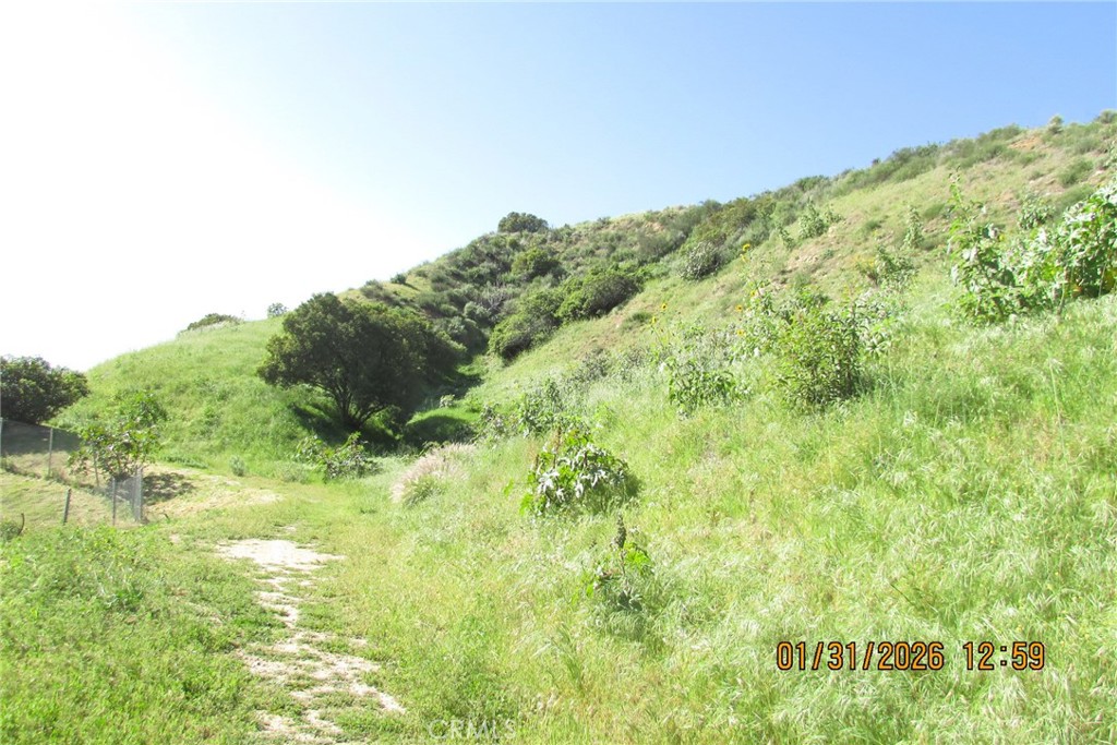 8001 Denivelle Road Sunland, CA 91040 - Photo 4 of 51 a view of a big yard with large trees