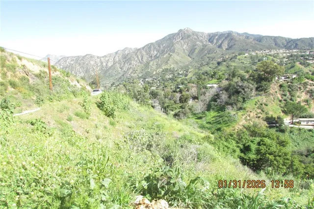 a view of a big yard with large trees