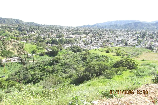 a view of a lush green forest with trees in the background
