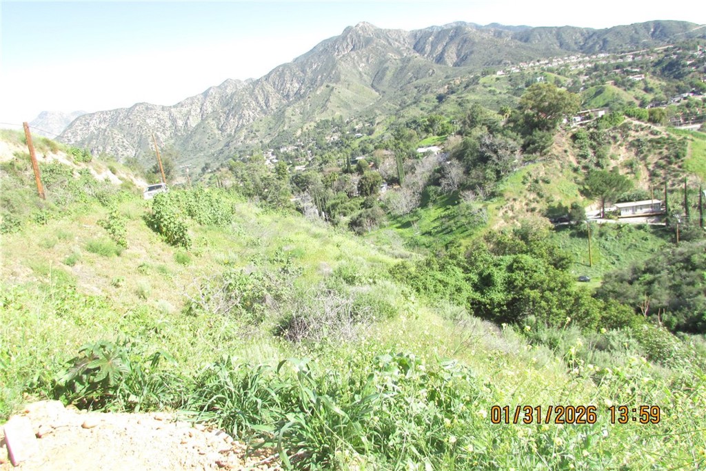 8001 Denivelle Road Sunland, CA 91040 - Photo 46 of 51 a view of a forest with a mountain in the background