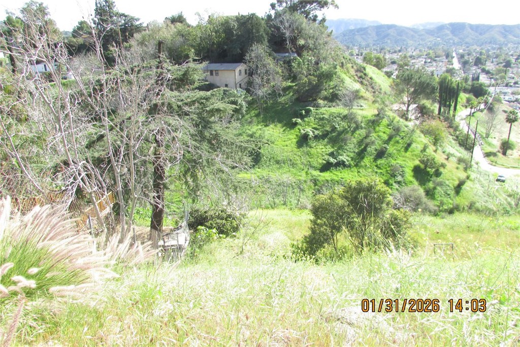 8001 Denivelle Road Sunland, CA 91040 - Photo 49 of 51 a view of a lush green field
