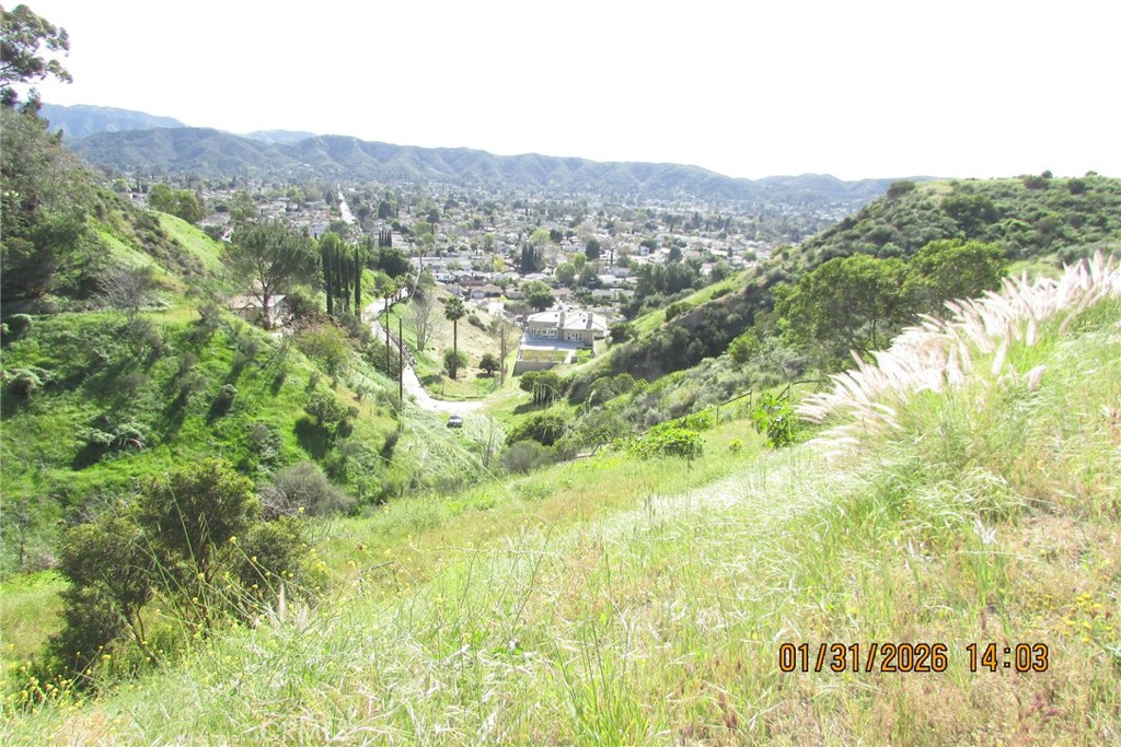 8001 Denivelle Road Sunland, CA 91040 - Photo 50 of 51 a view of a lush green forest with trees in the background