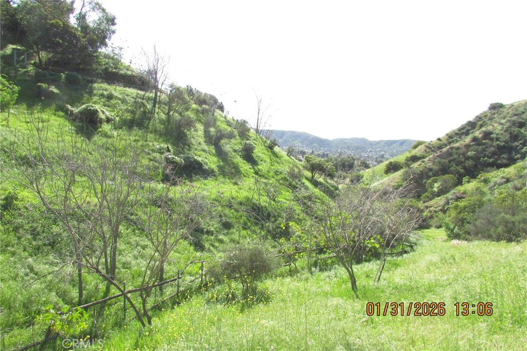 8001 Denivelle Road Sunland, CA 91040 - Photo 7 of 51 a view of a lush green forest with trees in the background
