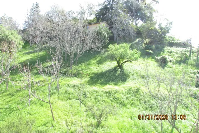 a view of a yard with plants and wooden fence