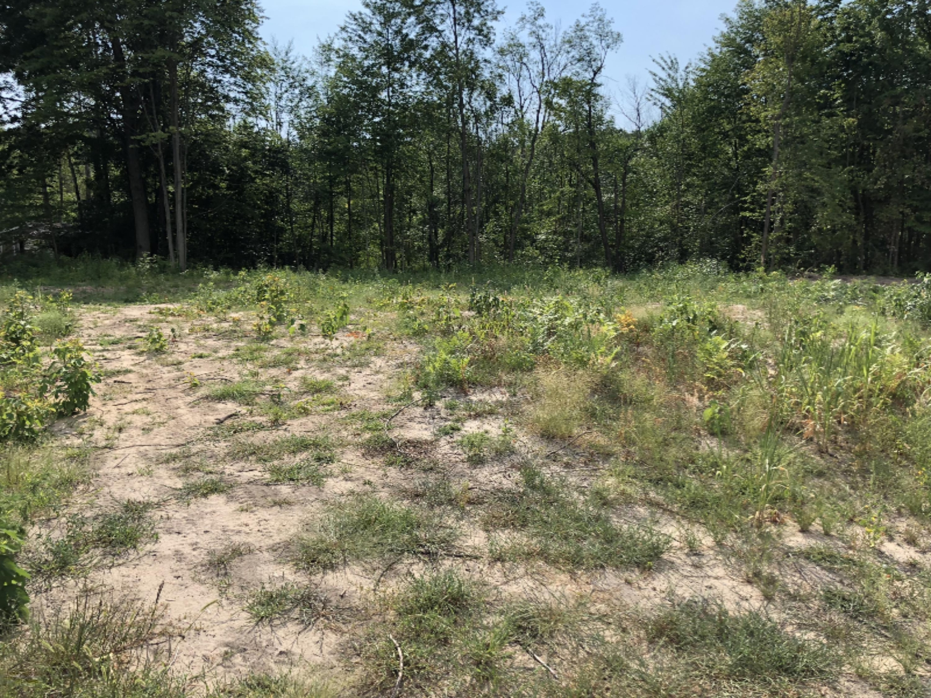 4062 Ronalds Road Dorr, MI 49323 - Photo 3 of 4 IMG_1705