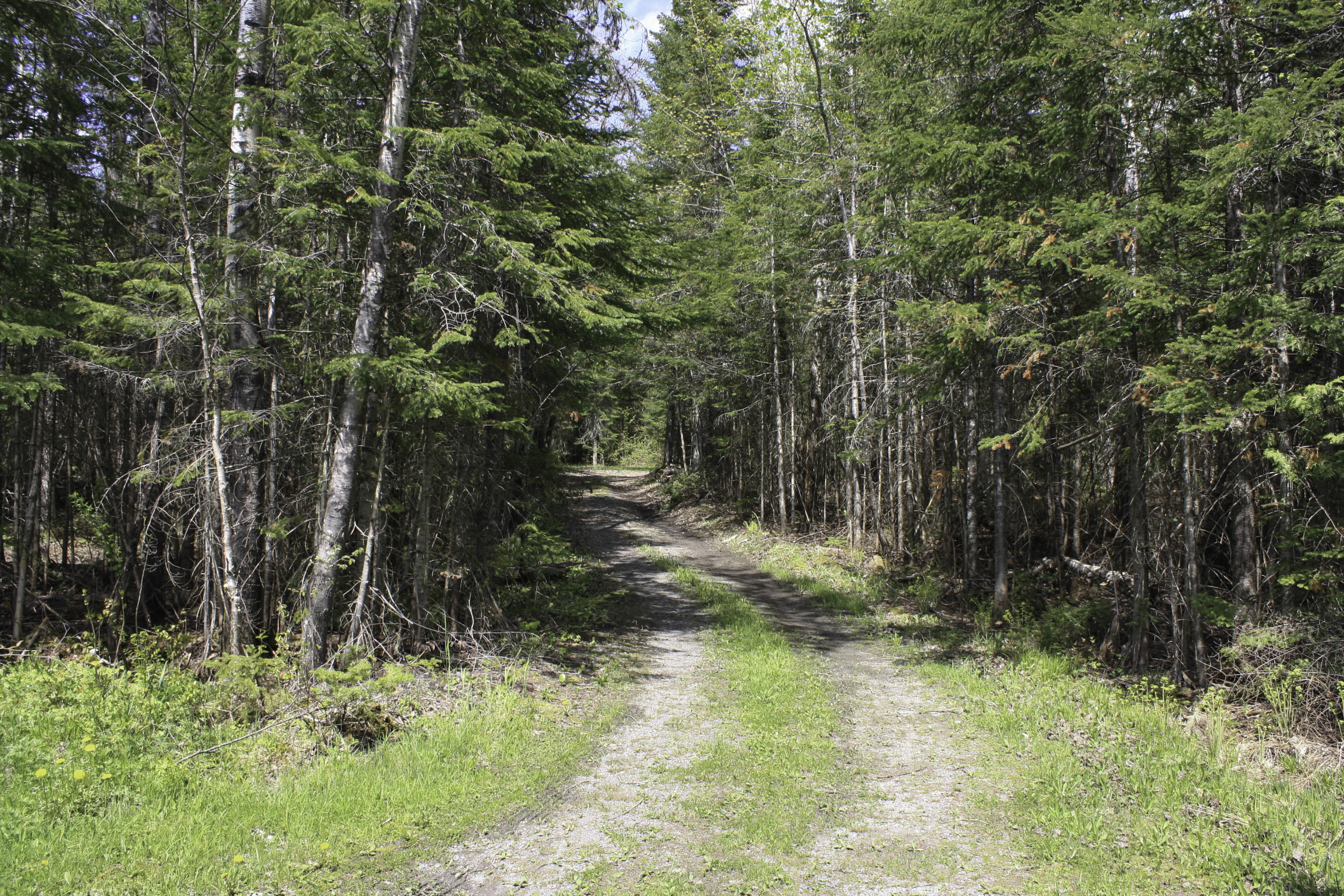 3111 Caribou Road Sinclair, ME 04779 - Photo 2 of 16 IMG_8673