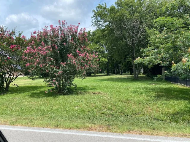 a view of green field with trees in the background