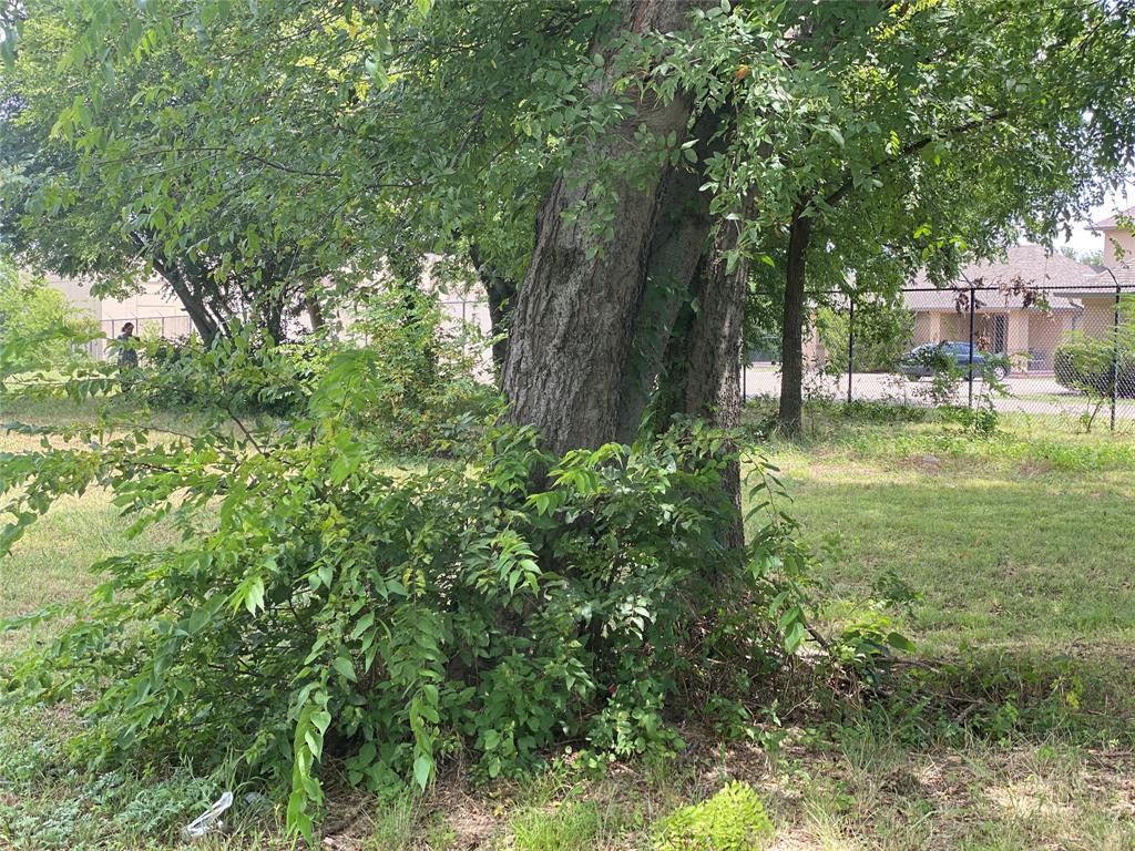 111 Barnes Bridge Road Sunnyvale, TX 75182 - Photo 11 of 17 a view of a park with large trees
