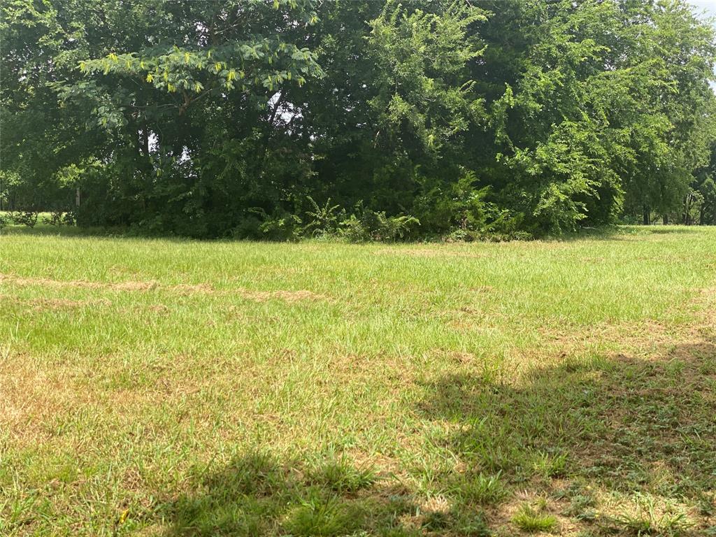 111 Barnes Bridge Road Sunnyvale, TX 75182 - Photo 13 of 17 a view of a yard with a tree